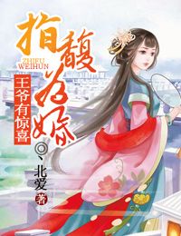 王爷有喜了漫画在哪里看