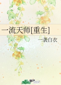 一流天师cp