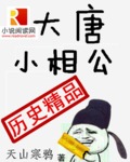 唐朝小相公笔趣阁在线阅读