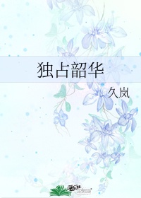 王女韶华讲什么