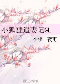 《小狐狸宠爱守则》小说