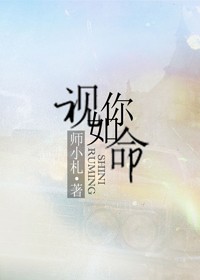 视你如命师小札TXT下载