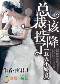 大佬向总裁老婆投降了小说