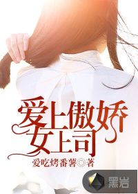 爱上傲娇女律师的小说