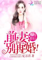 绯闻影后：前妻,别再婚