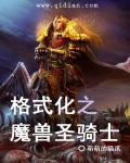 魔兽圣骑士技能监控WA