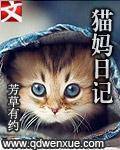 猫的观察日记300字