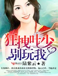 夜少强势锁婚又名