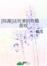 这坑爹的攻略游戏txt