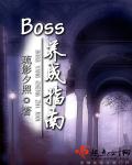 BOSS养成日记