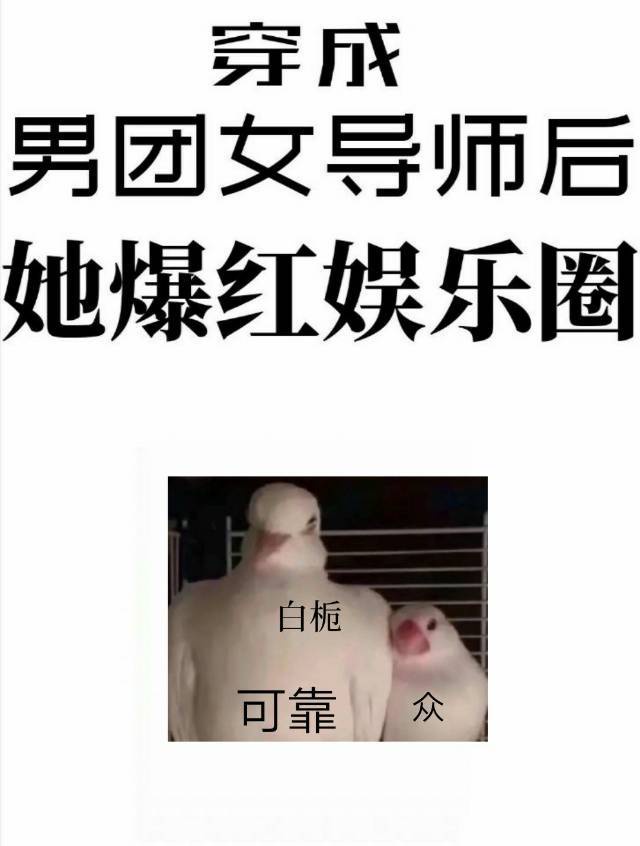 男团选拔赛的女导师 漫画