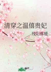 穿越之温僖贵妃 第四册 小说