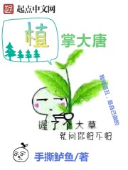 洛诗涵小说名称是什么