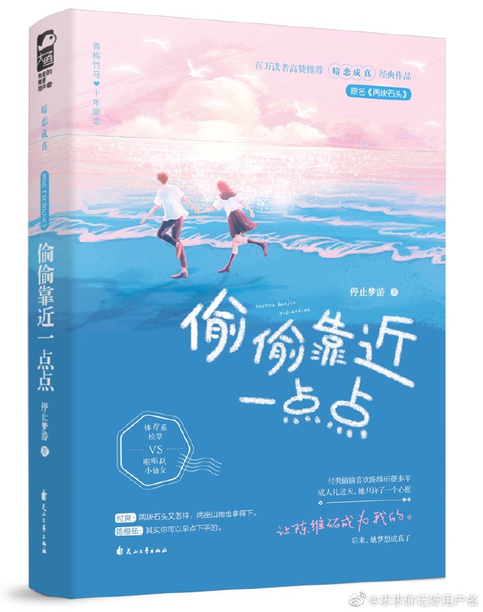 两块石头停止梦游po18