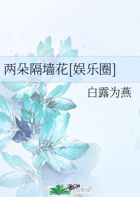 两朵隔墙花百度云