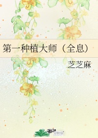 第一种植大师全息