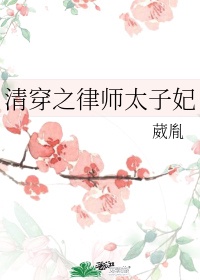 清穿之律师太子妃石瑾瑜