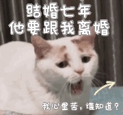 我出轨了 归壹