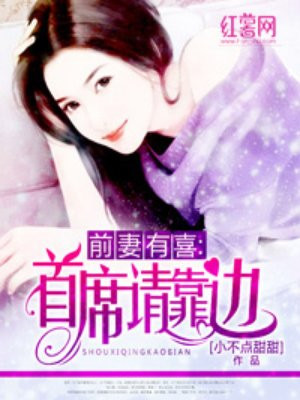 前妻当婚:首席先生情深深 小说