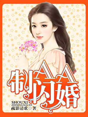 闪婚又叫什么