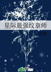 星际最强纹章师好看吗小说