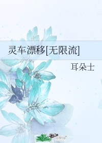 灵车漂移无限流好看吗