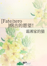 fatezero小说txt