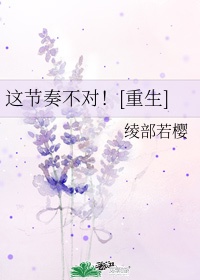 这节奏不对 小说