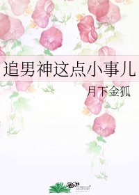 《追男神这点小事儿》 作者:月下金狐