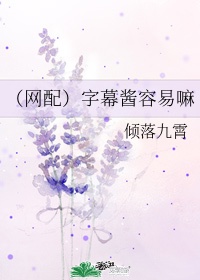 b站字幕组怎么赚钱