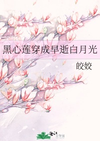 穿成黑心莲花的小说