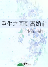 重生之回到离婚前爽文