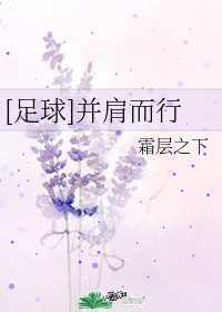 足球 并肩而行txt