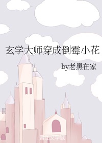 玄学大师穿成倒霉小花百度云