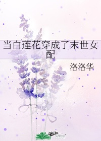 当白莲花掉马以后 小说