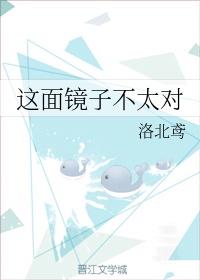 一面镜子的面积约是20平方多少