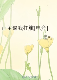 《正》小说