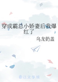 穿成霸总小娇夫[古穿今