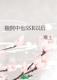 抽到中也ssr以后免费