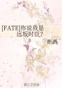 fate动漫在线观看