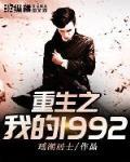 小说 重生之我的1992