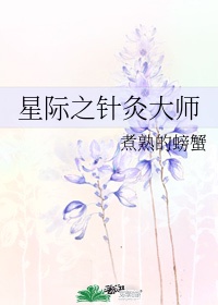 星际之针灸大师百度云