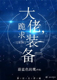 大佬,跪求装备！[星际]