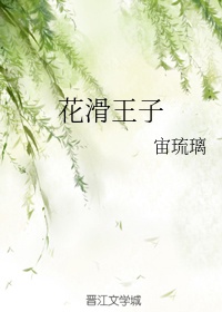 她的花吉他谱王子健