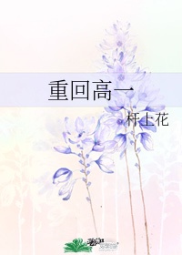 重回高三追校花同桌的小说