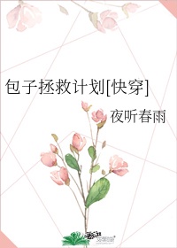 小说包子纳兰泽芸以包子为标题的作用