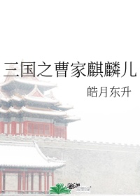 三国之曹家逆子txt