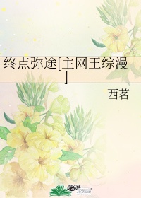 终点de