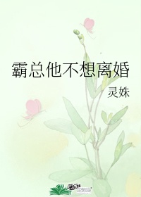 霸总他不想离婚小说