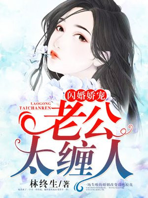 豪门娇宠:闪婚天价老公小说